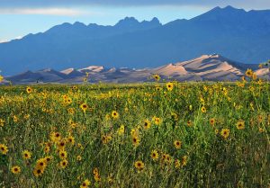 Great Sand Dunes National Park in Colorado / Facebook